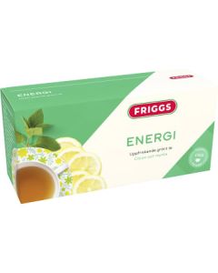 Friggs Te Energi 